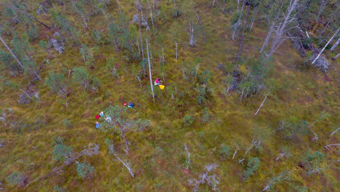 Ogotāji Teiču purvā