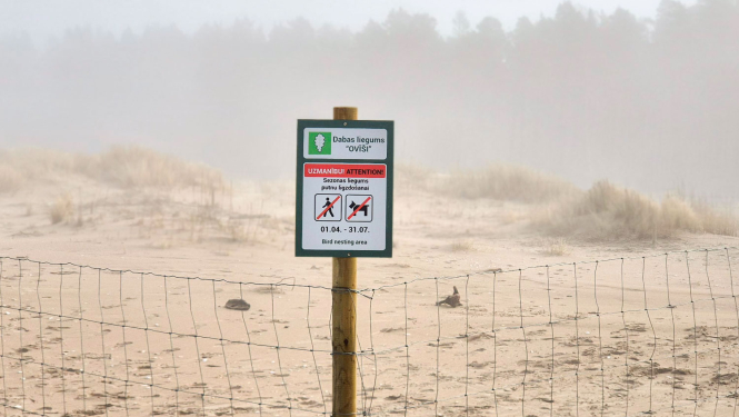 Putnu lieguma teritorija