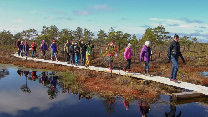 Pārgājiens pa purva laipu