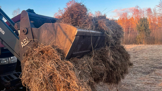 Pērnās zāles novākšana