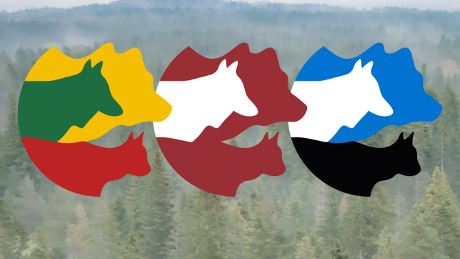 Lielo plēsēju pētījums