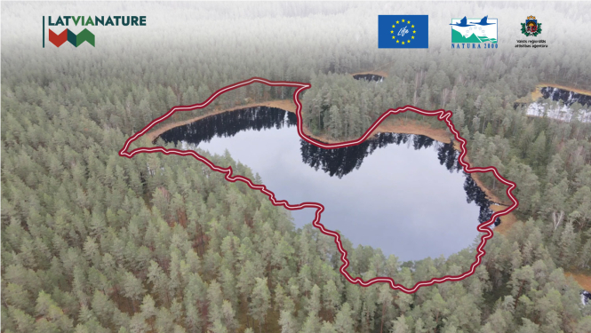 Latvijas ainava ar mežu un ezeru