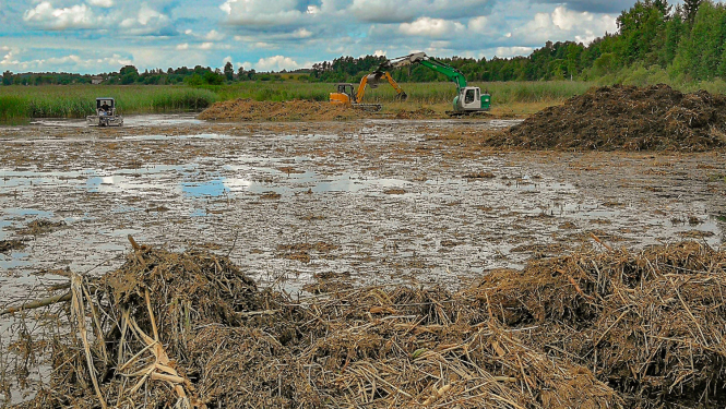 Biotopu kopšana Rāznas ezerā