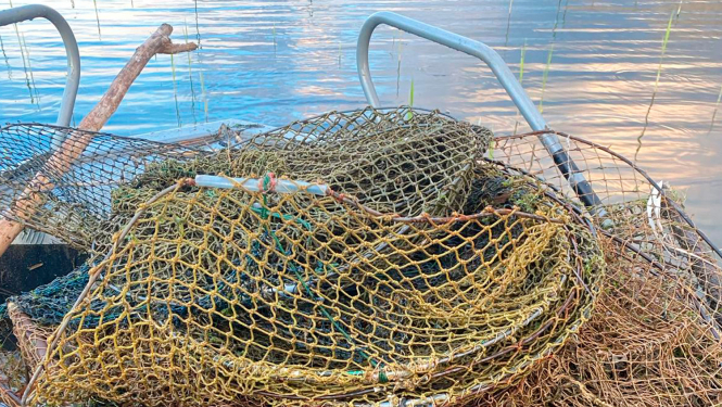 Nelikumīga zveja Rāznas ezerā