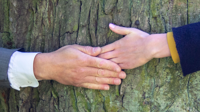 Sadevušās kopā rokas