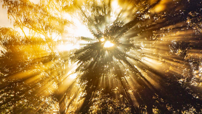 Gaismas stari. Foto: Andris Soms