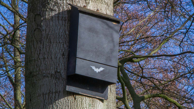 Sikspāŗņu būris. Foto Andris Soms