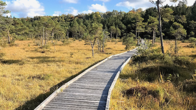 Šlīteres dabas taka