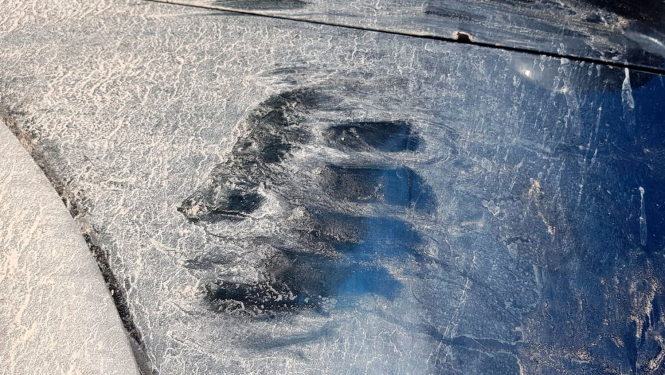 Lāča ķepas nospiedums uz auto