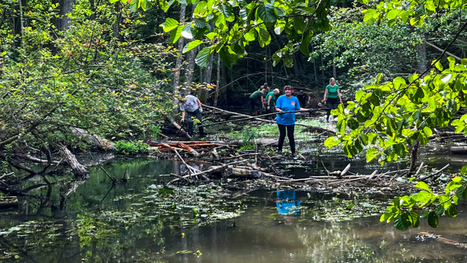 Upes straujteces attīrīšana