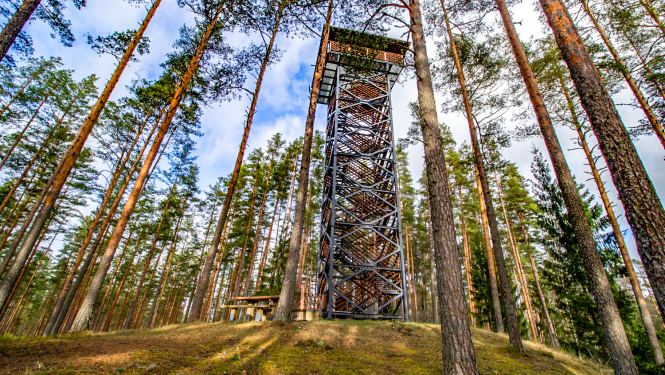 Cirgaļu skatu tornis. Foto Andris Soms