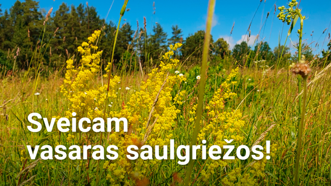 Sveicam vasaras saulgriežos!