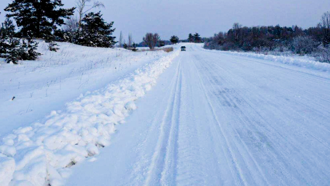 Ziema. No sniega attīrīts lauku ceļš, gar malām apsnigusi koki