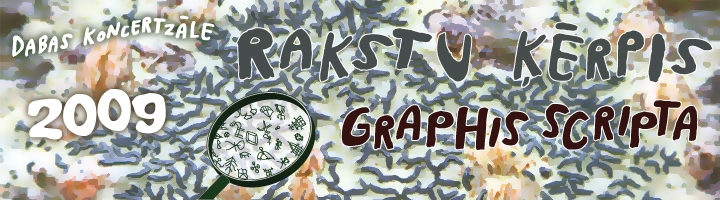 2009. gads – Rakstu ķērpis