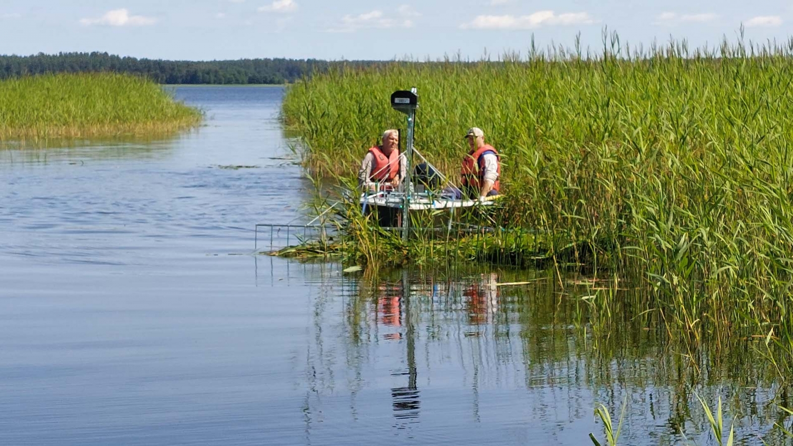 Mediji Moricasalā