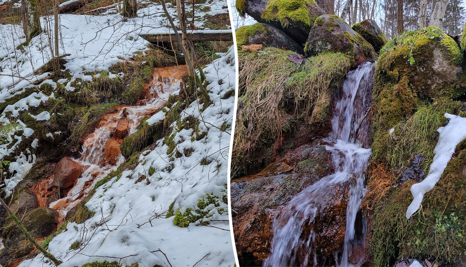 Dāvida dzirnavu avoti. Foto Fanija Šitca