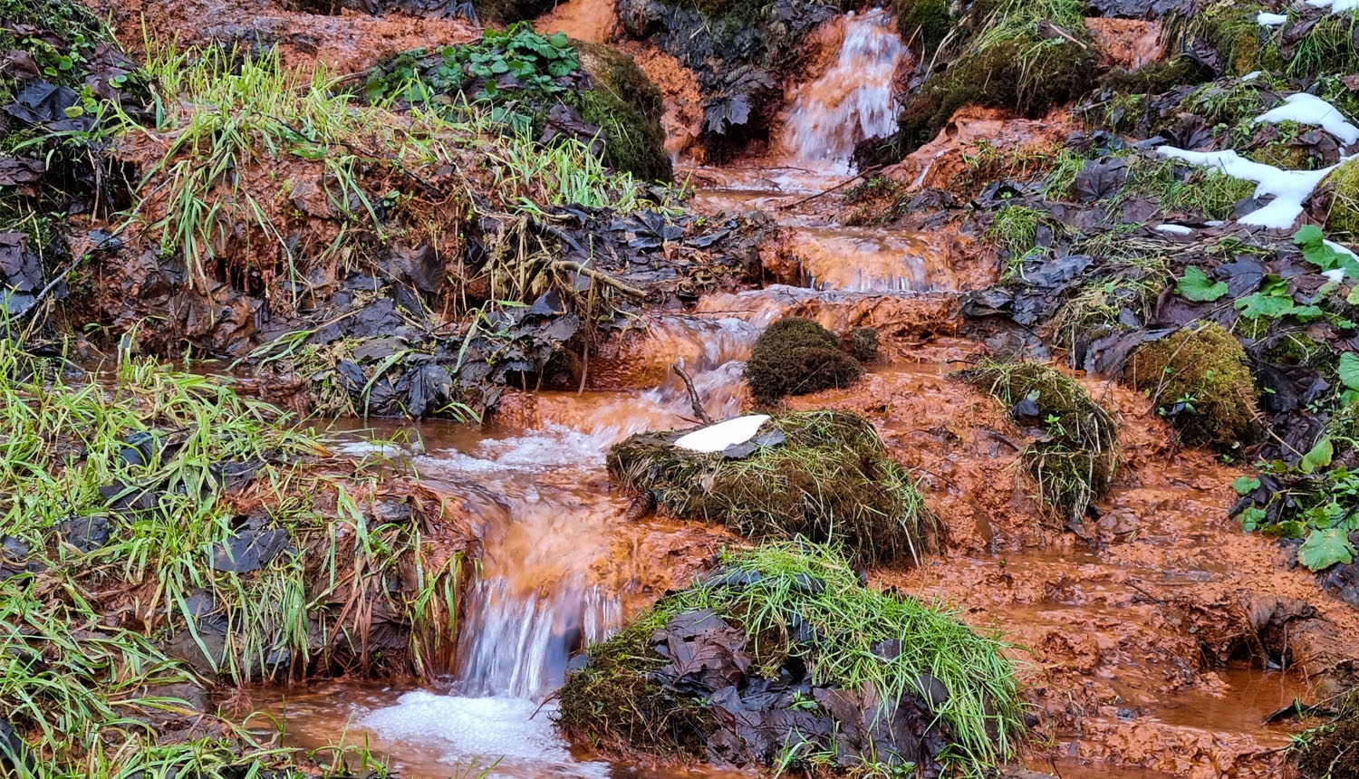  Dāvida dzirnavu avoti. Foto Fanija Šitca