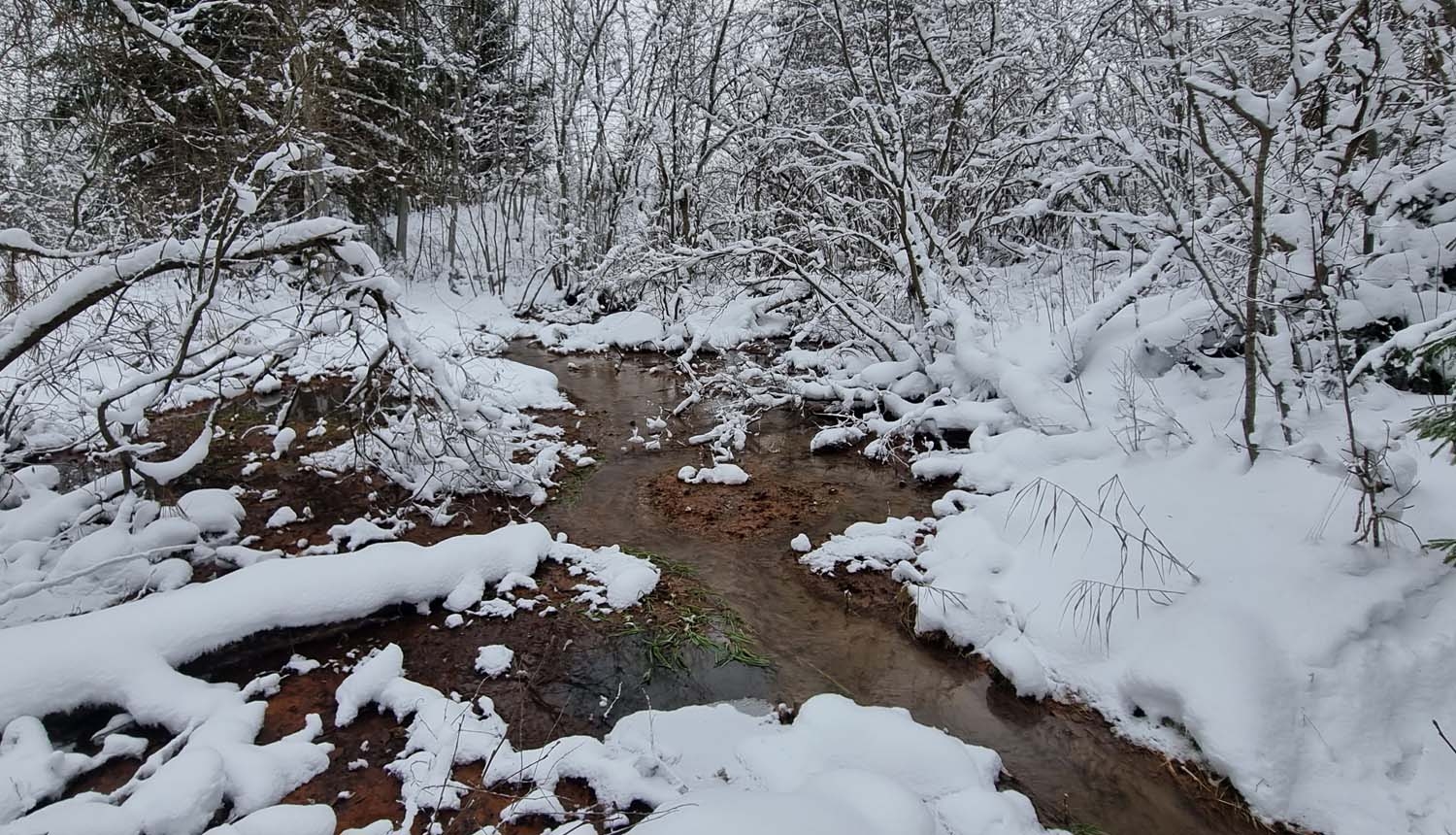 Kaļļu avoti ziemā. Foto Fanija Šitca