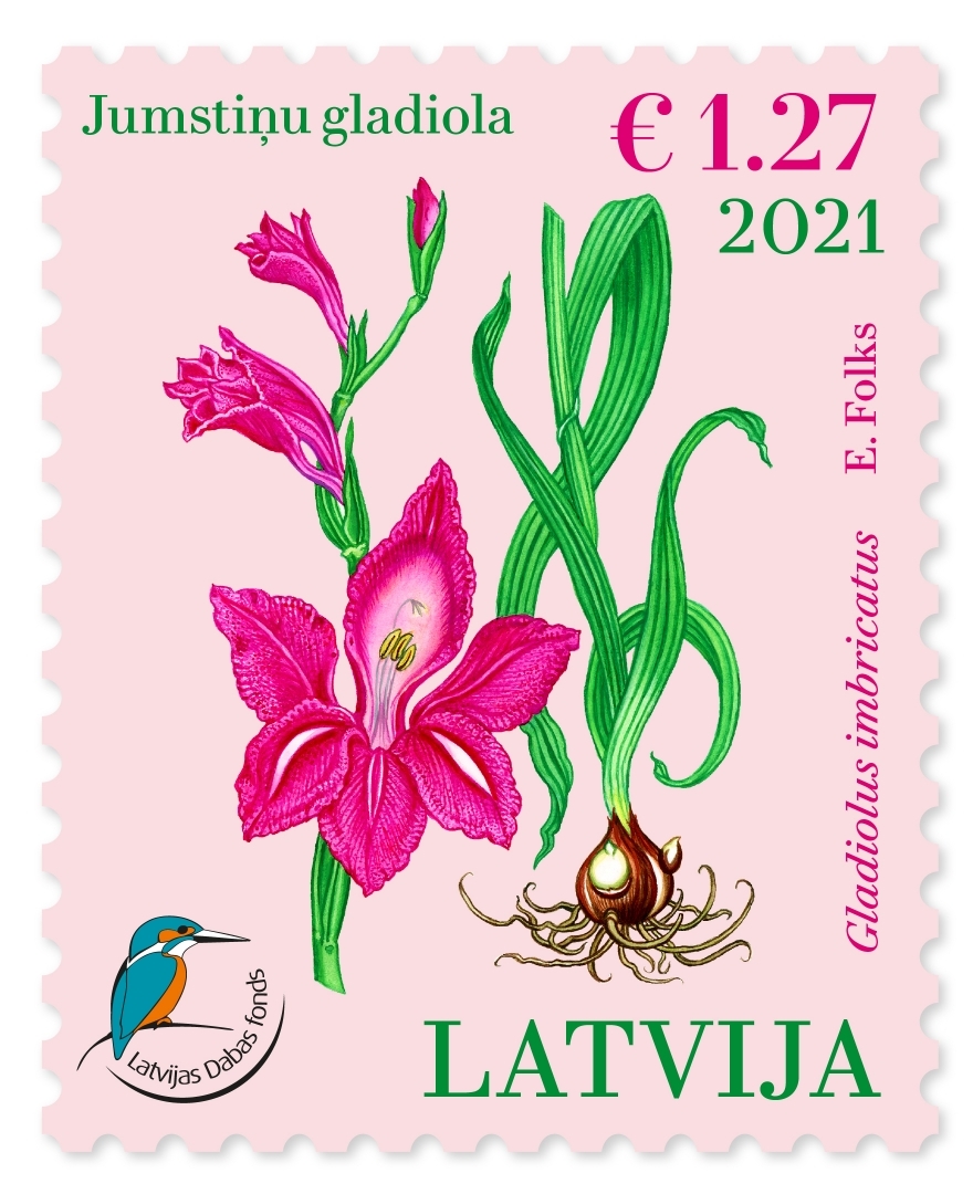 Pastmarka - Jumstiņu gladiola (2021)