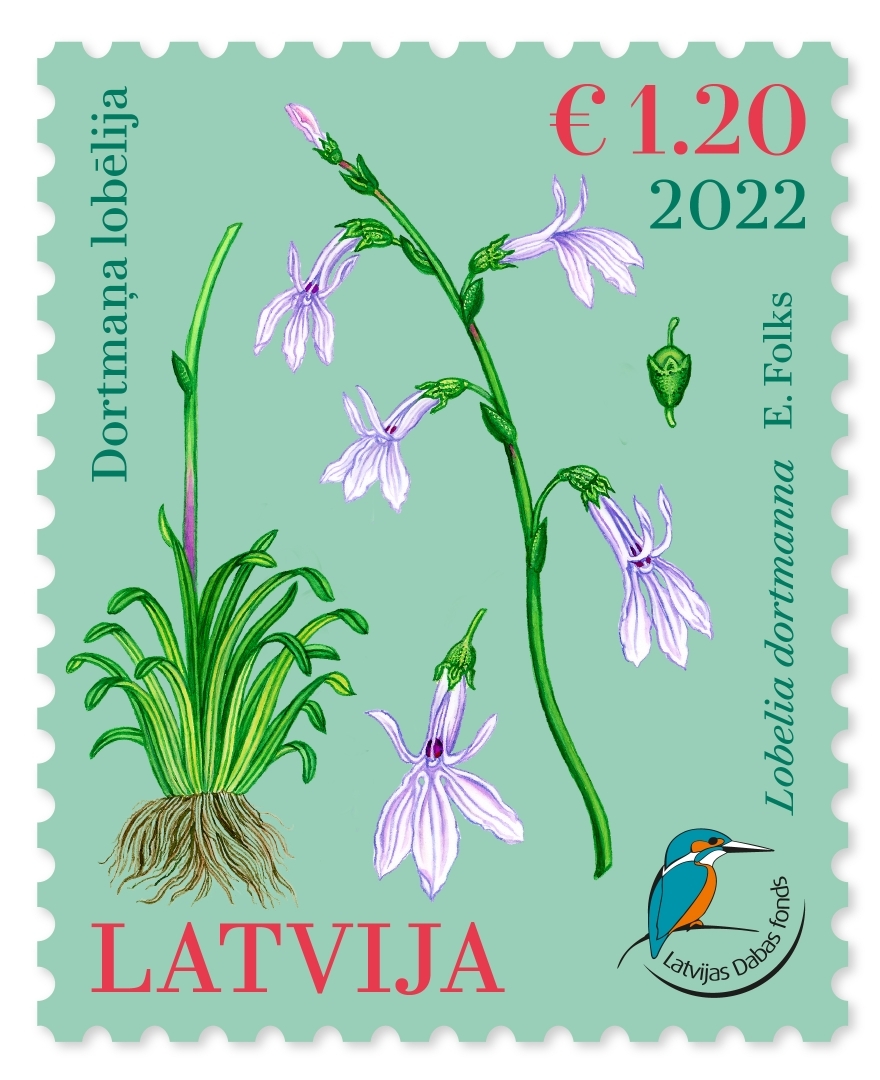 Pastmarka - Dortmaņa lobēlija (2022)