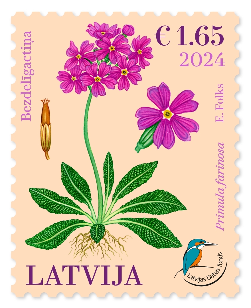 Pastmarka - Bezdelīgactiņa (2024)
