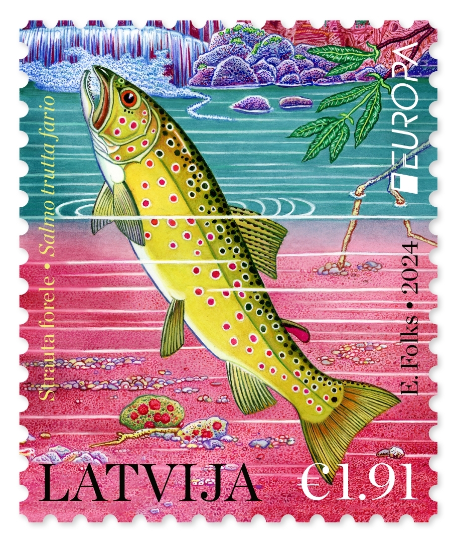 Pastmarka - Strauta forele (2024)