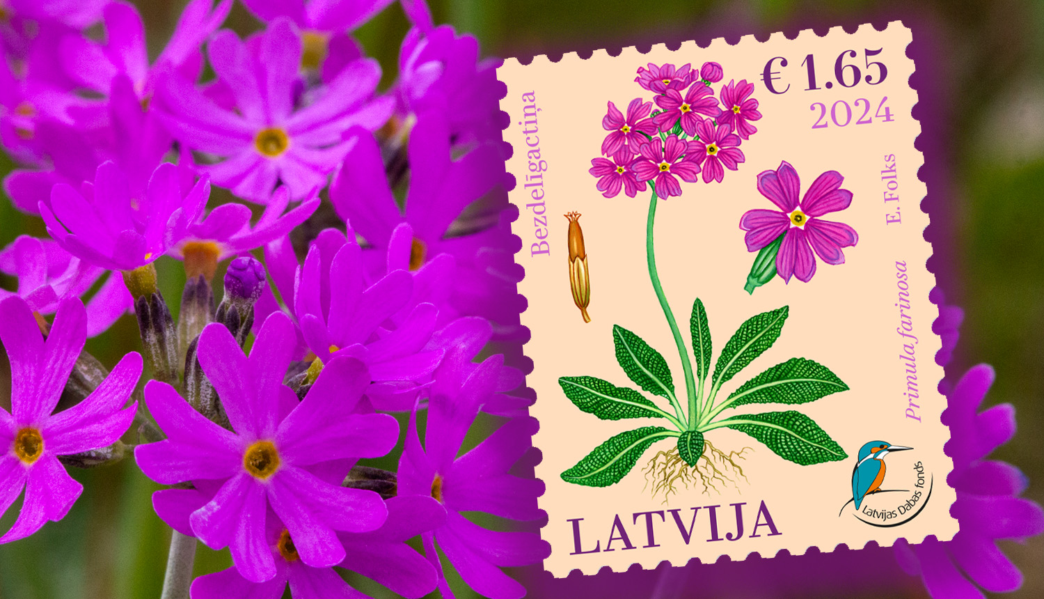 Pastmarka ar bezdelīgactiņas attēlu