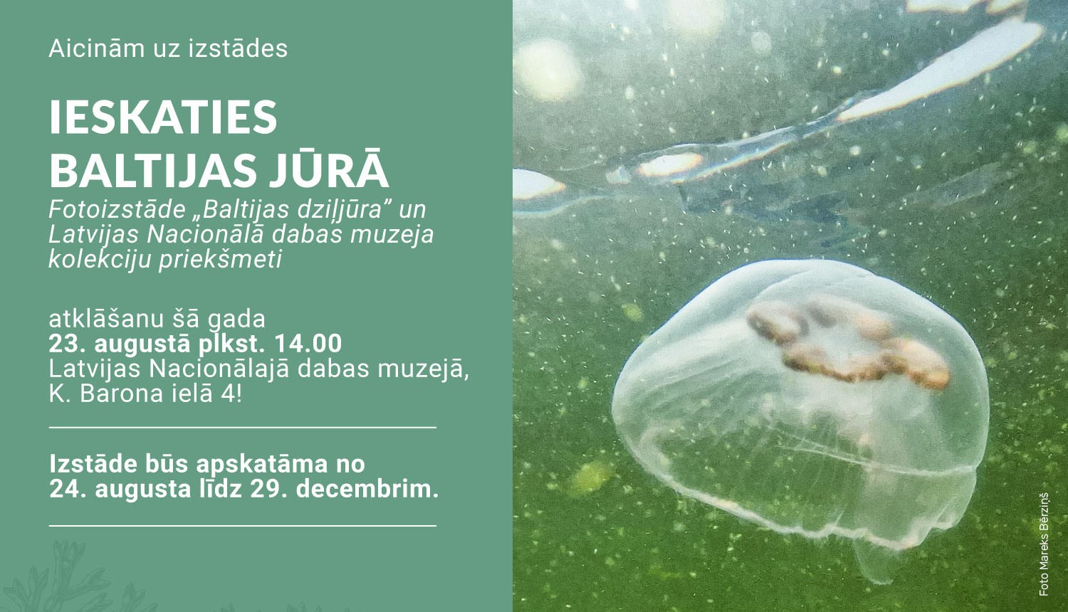 Izstādes BALTIJAS DZIĻJŪRA afiša