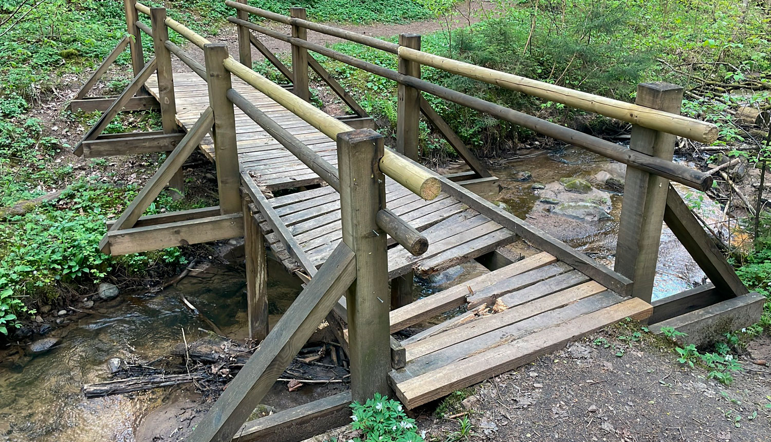 Salūzis tiltiņš Vikmestes takā