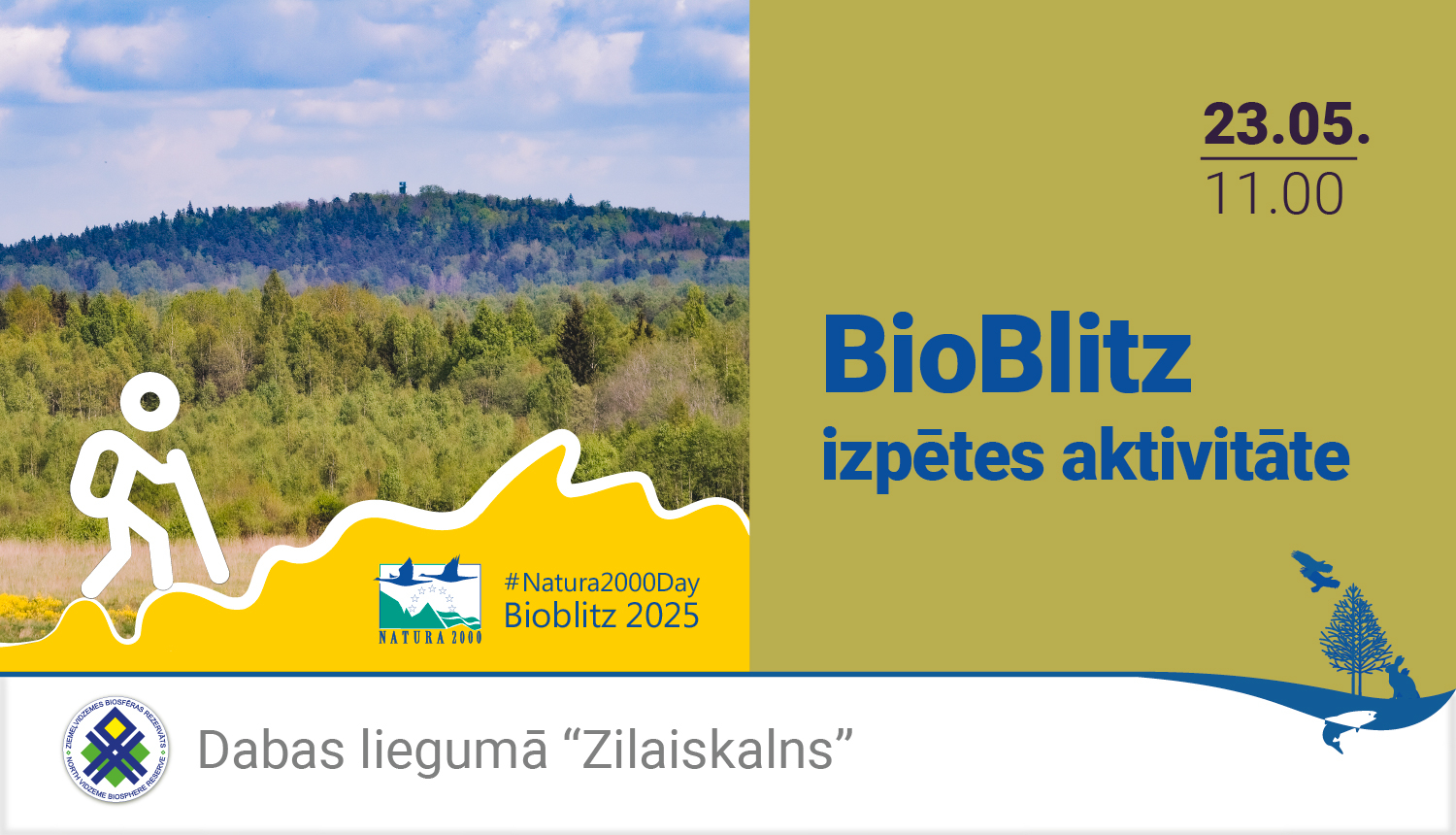 BioBlitz izpētes aktivitāte dabas liegumā Zilais kalns
