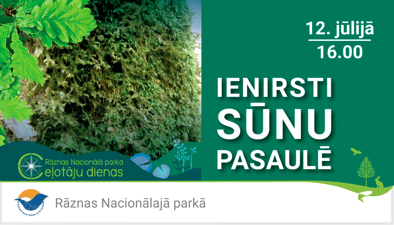 Ienirsti sūnu pasaulē