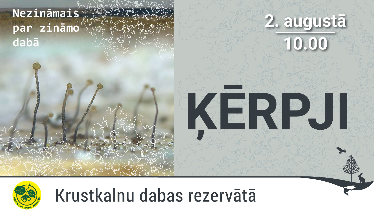 Nagliņķērpju attēls