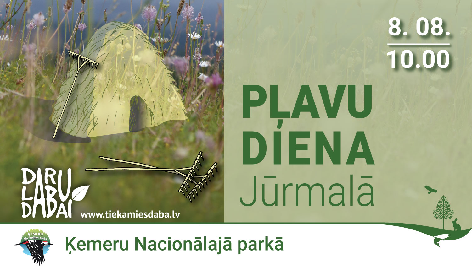 Siena zārda zīmējums