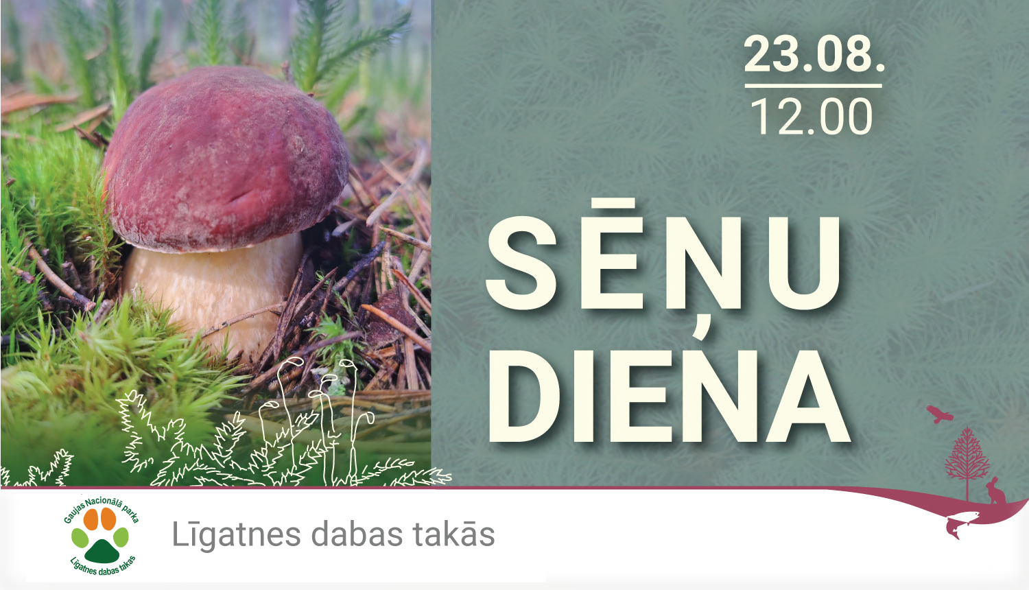 Sēņu diena Līgatnes dabas takās