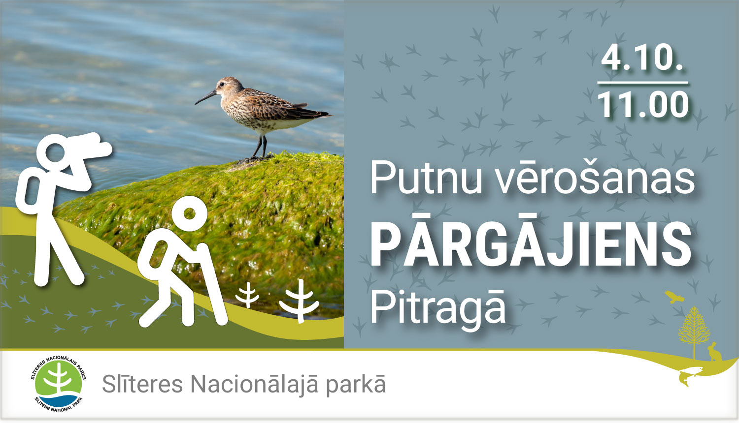 Putnu vērošanas pārgājiens Pitragā