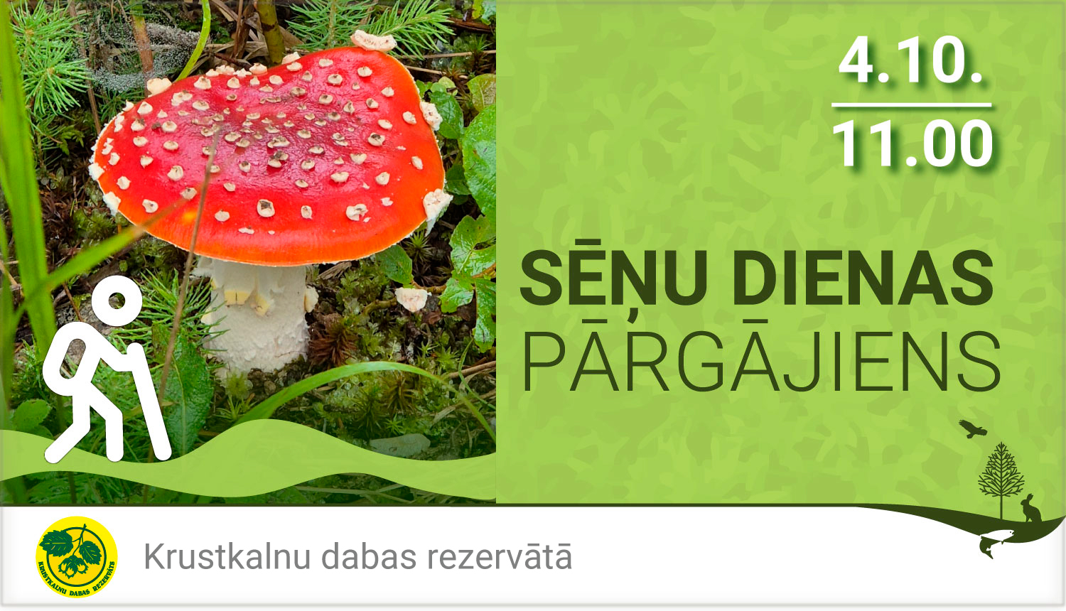 Sēņu dienas pŗgājiens Krustkalnu dabas rezervātā