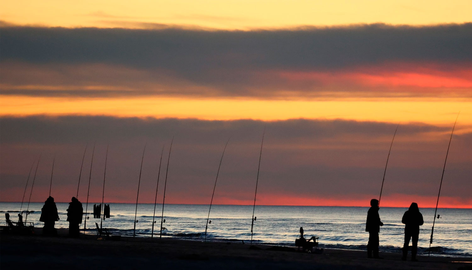 Bušu ķeršana jūrā