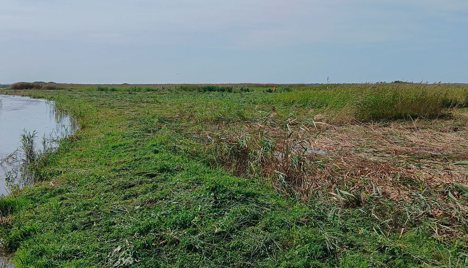 Izpļauta Engures ezera krastmala