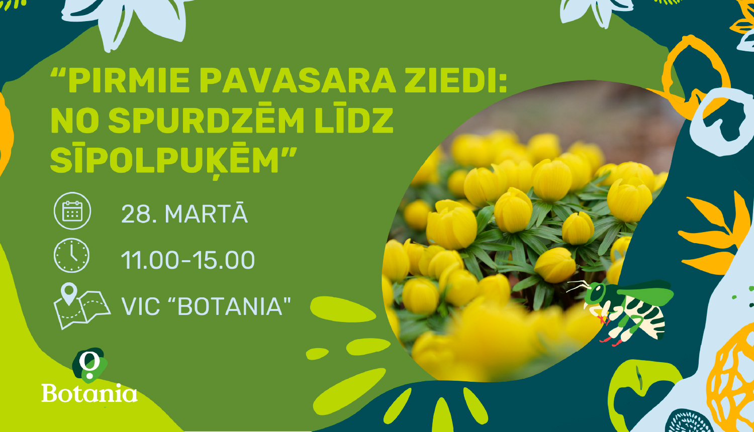 Peklāma pasākumam Pirmie pavasara ziedi