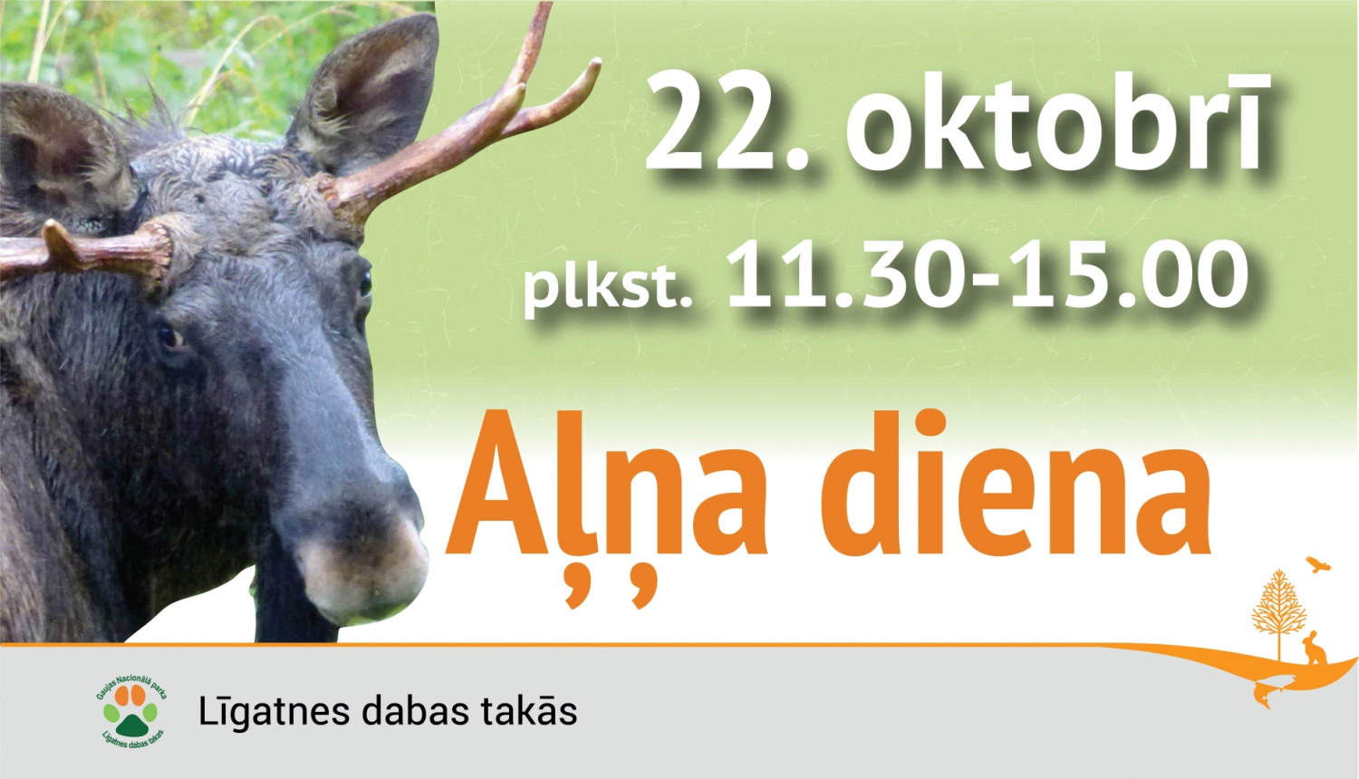 Aļņa diena Līgatnes dabas takās