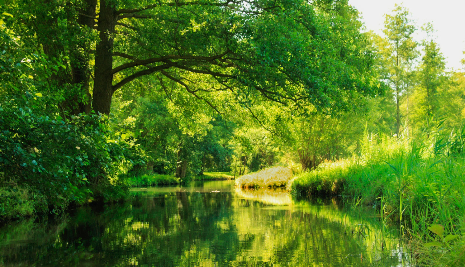Vasaras ainava ar upīti