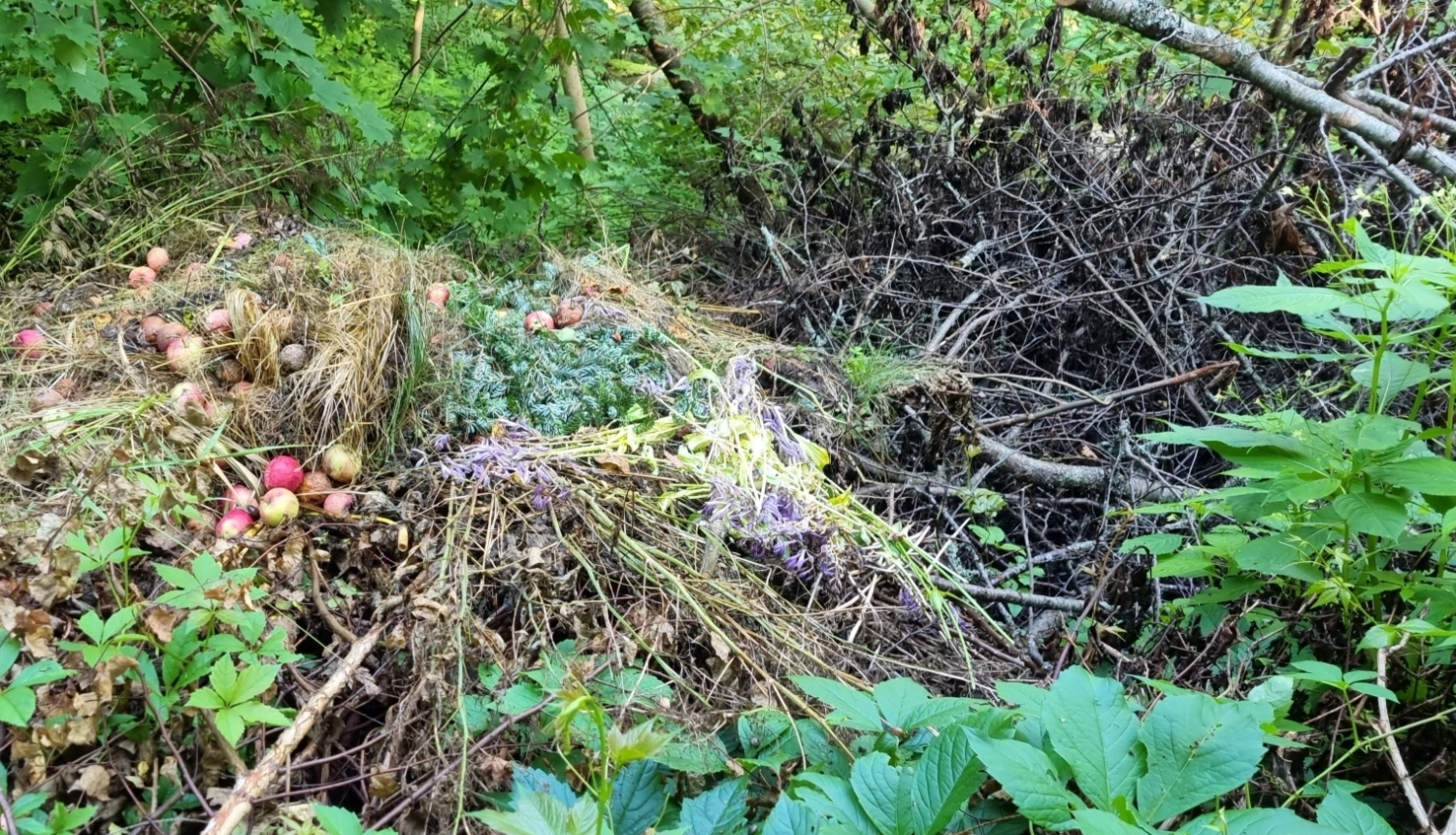 Bioloģiskie atkritumi mežā