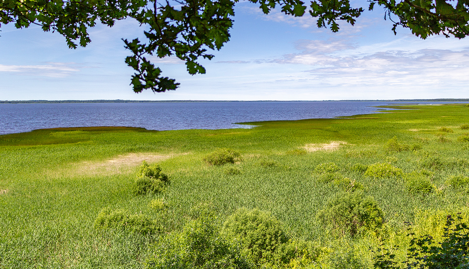 Dabas liegums "Burtnieku ezera plavas", Burtnieka ezera austrumu krasts