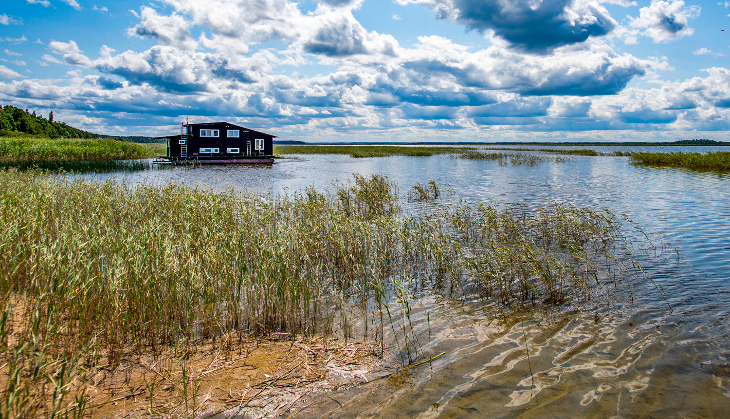 Dabas parks ENGURES EZERS. Foto Jānis Zilvers