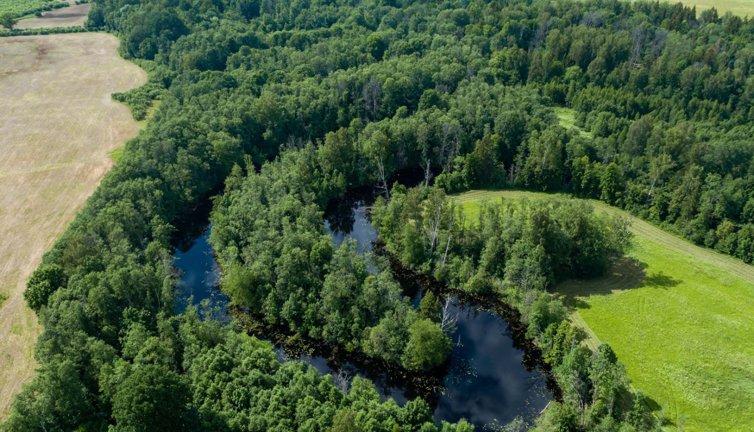 Dabas parks OGRES IELEJA. Foto Jānis Zilvers