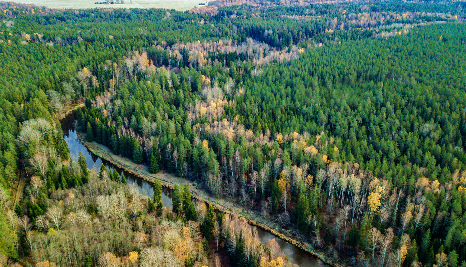 Dabas parks SALACAS IELEJA. Silmači