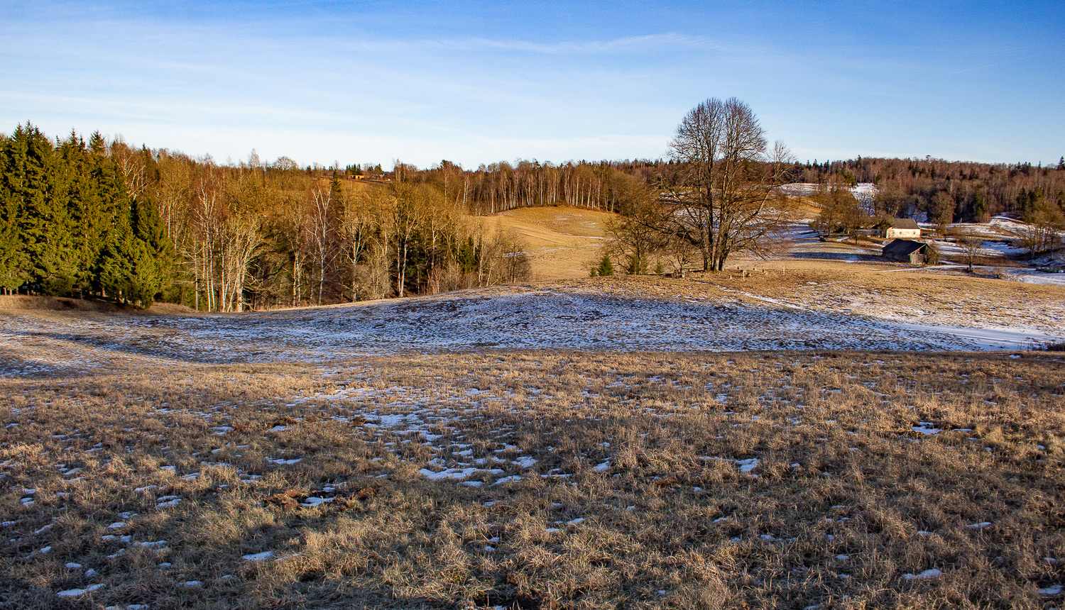 Dabas parks Talsu pauguraine. Skats ceļa posmā Mundīgas-Kampari. Foto: Andris Soms. DAP