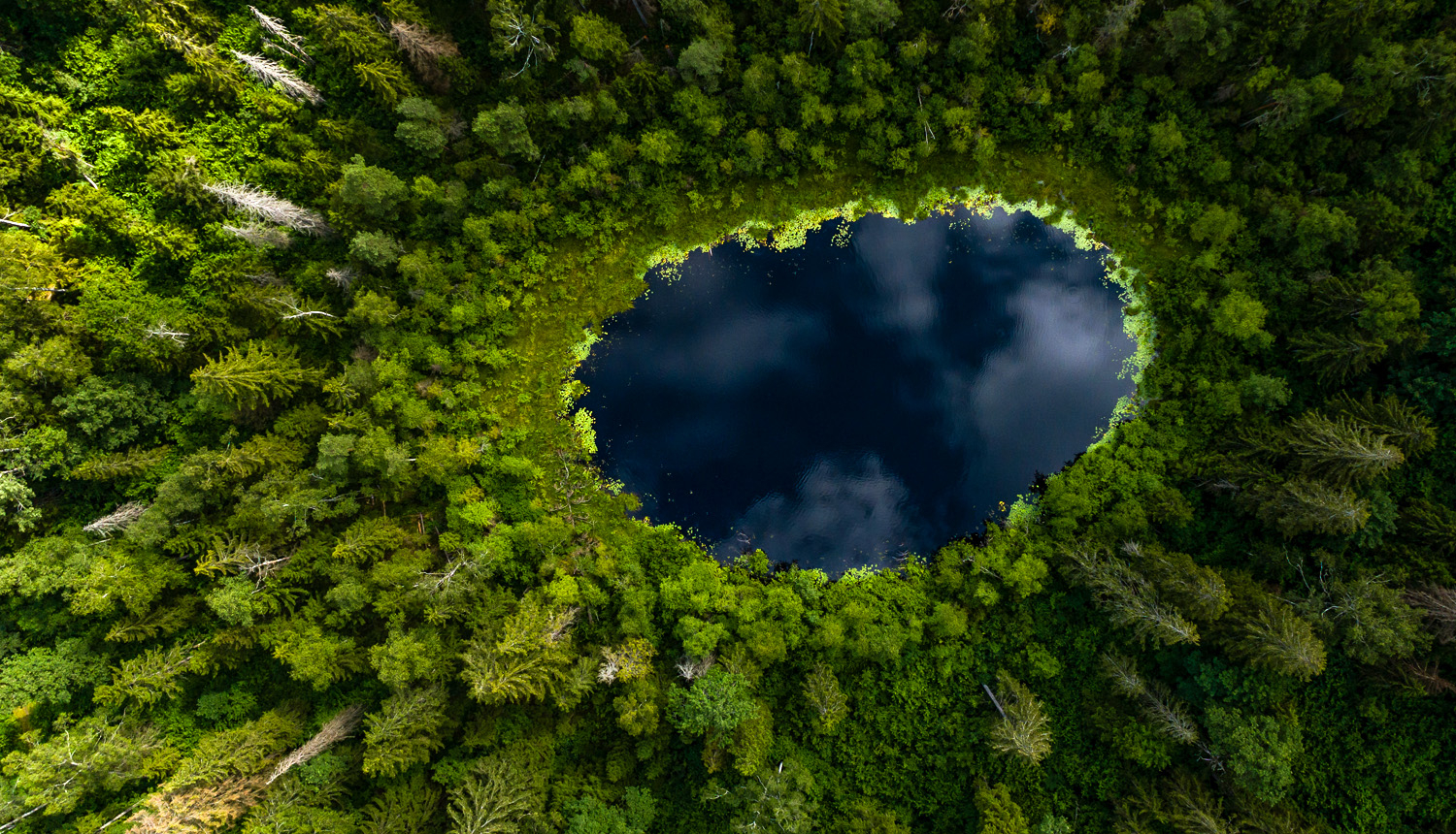 Mazs ezeriņš meža vidū