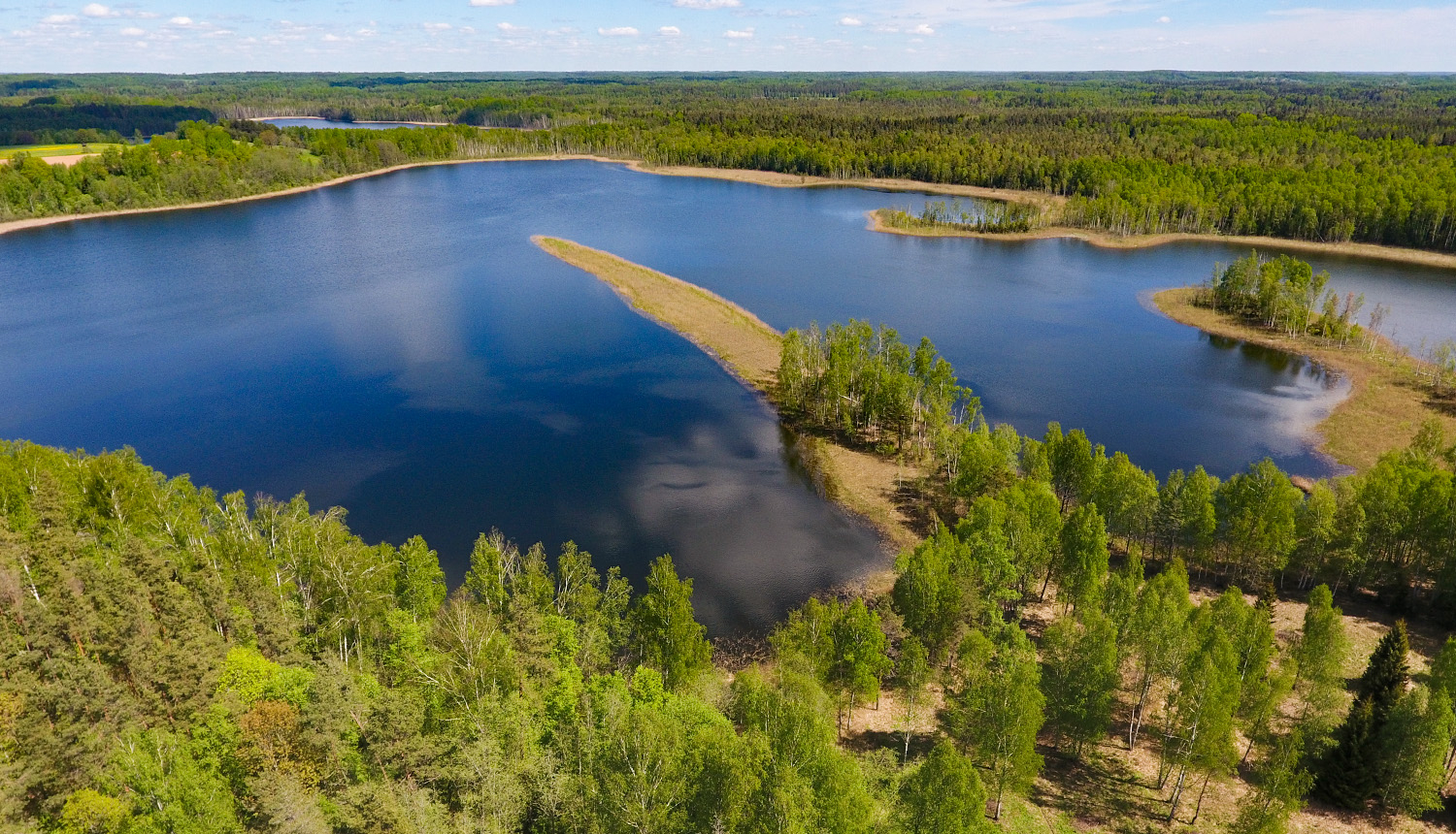 Krustkalnu dabas rezervāts. Svetes-Dreimanu ezers. Velna pirksts. Foto: Dagnis Vasiļevskis