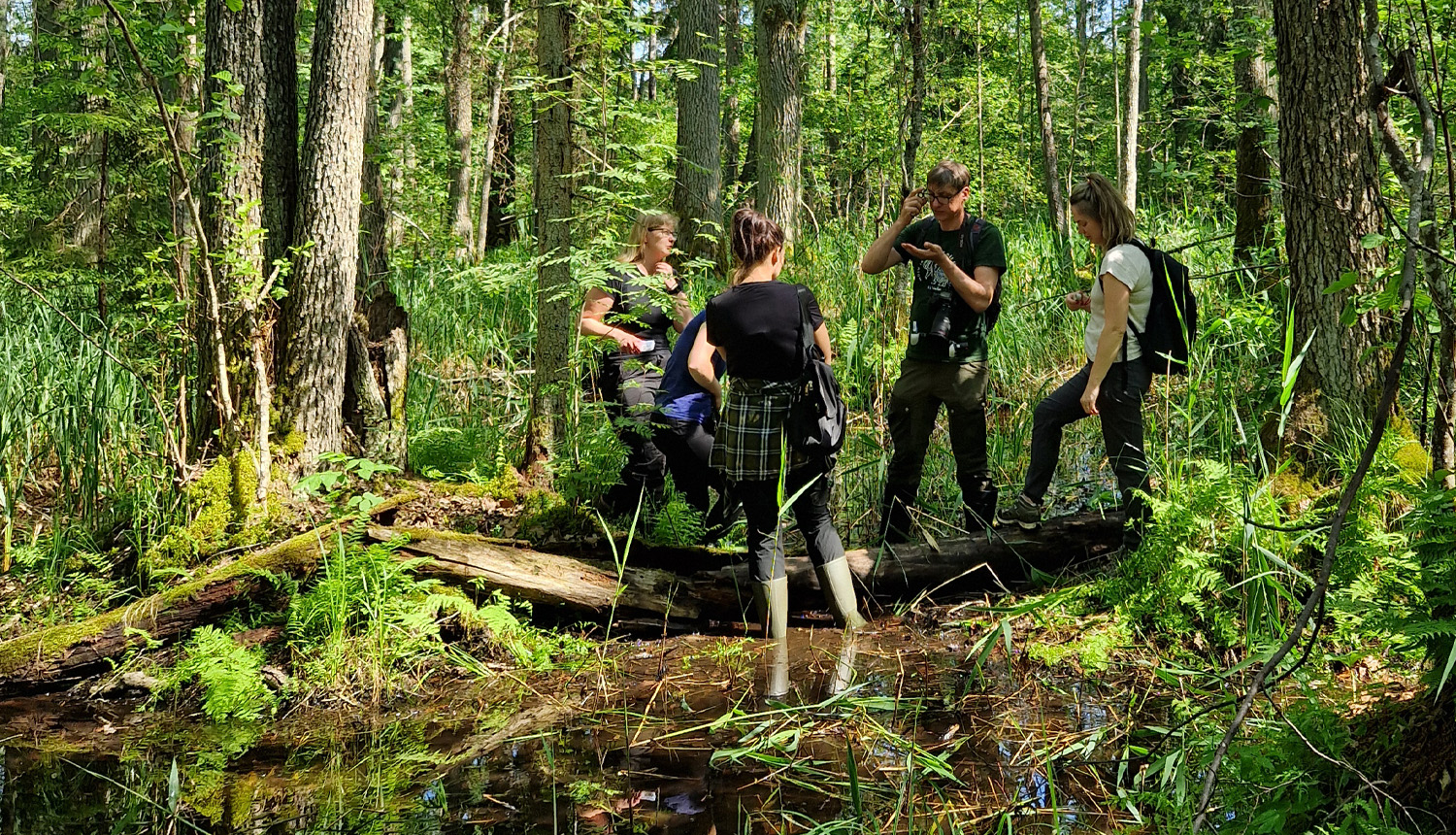 Dabas eksperti mežā